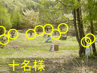 ウーム。。