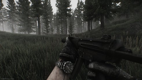 Escape from Tarkov / traser TYPE6 MIL-G Automatic PRO