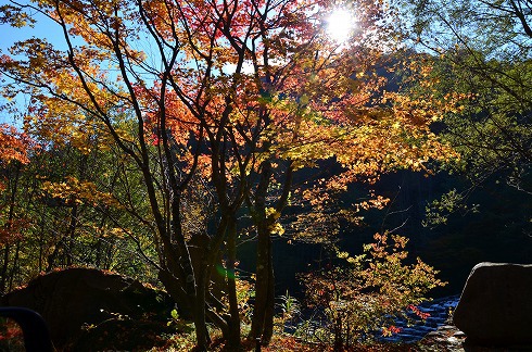蔦沼と十和田湖の紅葉2014