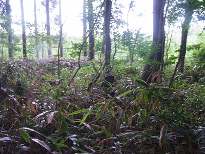 2013/06/23定例会サバゲ