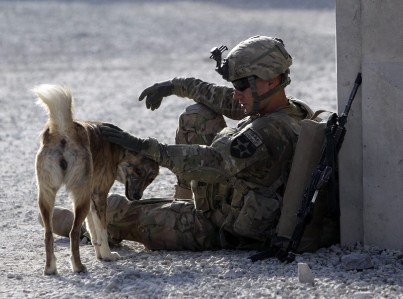 犬と兵士