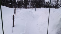 ソラチグラード　　雪の塹壕でミリごっこ