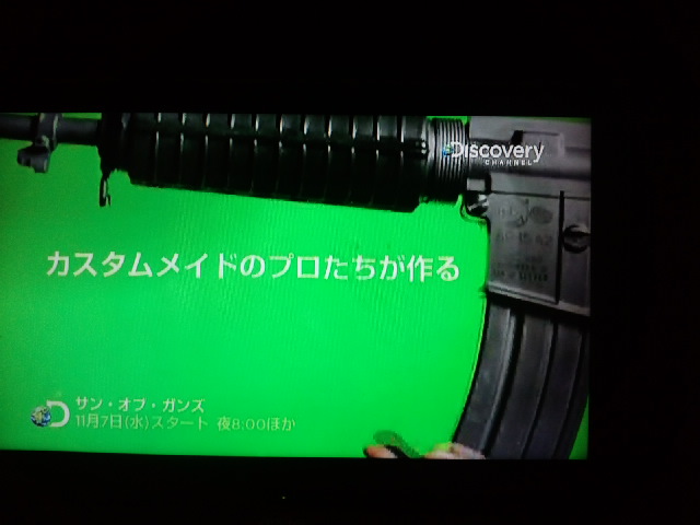 発見、ピンクのガバメント