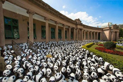 【写真】パンダがいっぱい！！マスクはみんなこれにしたらいい！