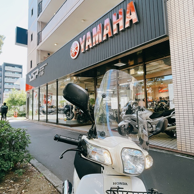 元気でいられる期限 元気でいられる期限