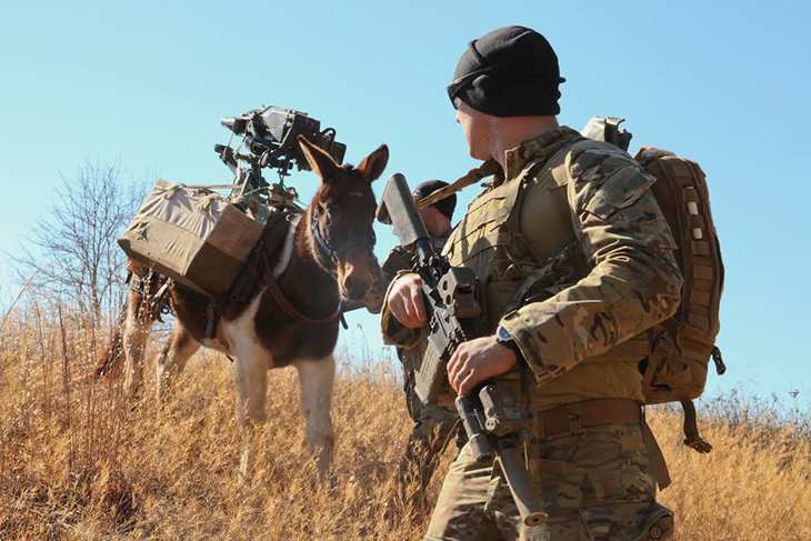米陸軍特殊部隊「グリーンベレー」と重武装を運搬するロバの訓練写真 米陸軍特殊部隊「グリーンベレー」と重武装を運搬するロバの訓練写真
