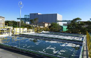 IHI・神戸大発ベンチャー、ジェット燃料用藻類の屋外安定培養に成功