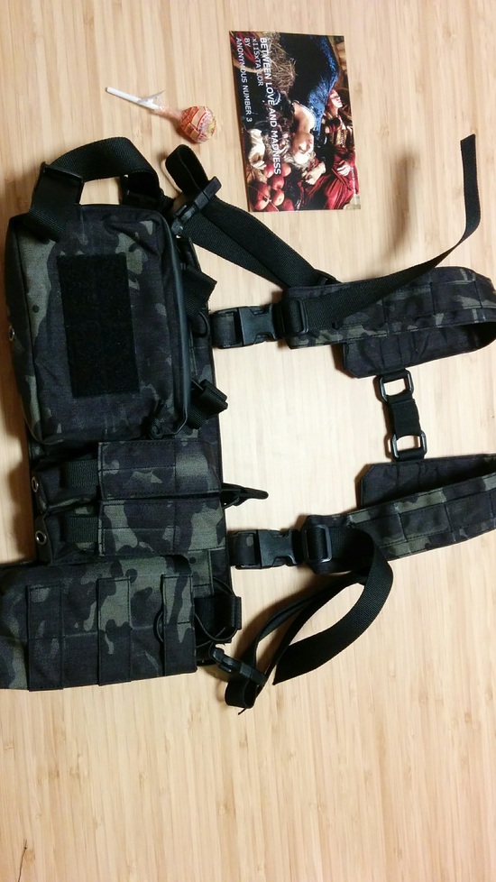 x115xTAYLOR C1306 CHEST RIG ～追記