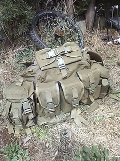 HSGI DENELI型導入。