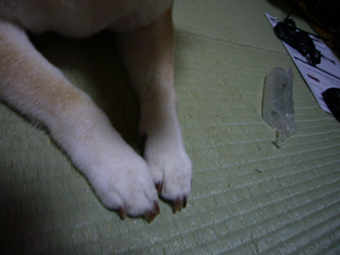天に代わっておしおキックー の巻き