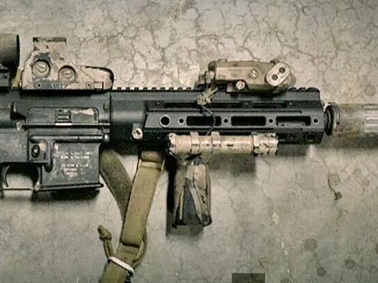 HK416D RAHG & SF M600