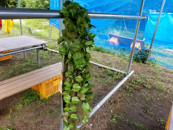 謎の粉 吸引で 謎の粉 吸引で