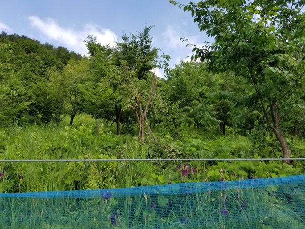 水分たっぷり 水分たっぷり