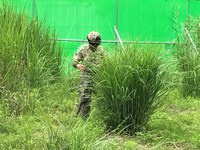「S.G.F.IDE」2017/07/17のゲーム会の様子 「S.G.F.IDE」2017/07/17のゲーム会の様子