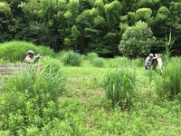 「S.G.F.IDE」2017/07/17のゲーム会の様子 「S.G.F.IDE」2017/07/17のゲーム会の様子