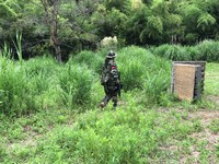 「S.G.F.IDE」2017/07/17のゲーム会の様子 「S.G.F.IDE」2017/07/17のゲーム会の様子