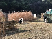 「S.G.F.IDE」2017/12/10のゲーム会の様子 「S.G.F.IDE」2017/12/10のゲーム会の様子