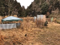 「S.G.F.IDE」2018/02/11の定例会の様子 「S.G.F.IDE」2018/02/11の定例会の様子