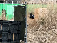 「S.G.F.IDE」2018/02/11の定例会の様子 「S.G.F.IDE」2018/02/11の定例会の様子