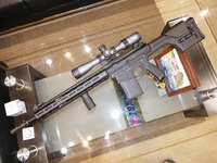 Mega Arms AR-10 MML MATN for KWA GBBR