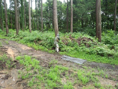曇→雨→晴→雨 みたいな