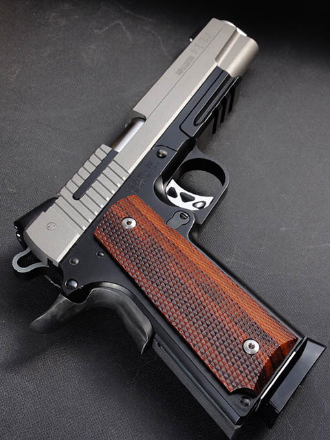 WA SiGARMS GSR パーツ仕上げ直し