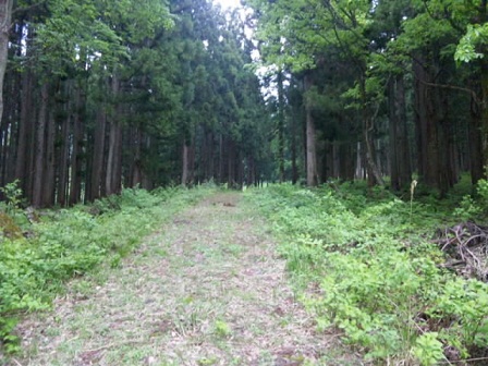 野沢温泉サバゲ続報