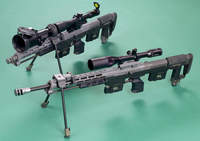西側のライフル DSR1