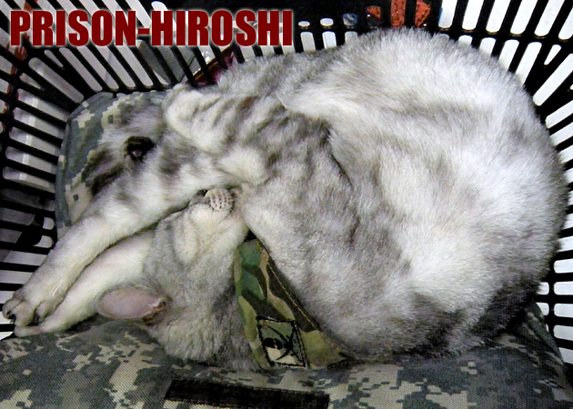 PRISON HIROSHI
