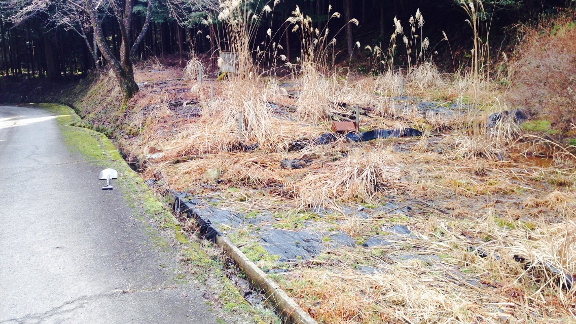 ボチボチやってます! ボチボチやってます!