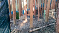 あまり写さない山の中です(^ー^)ノ あまり写さない山の中です(^ー^)ノ