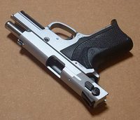 小型銃はシルバーが似合う(WA TSW)