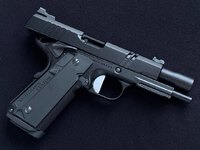 Tri-Cut Carry風カスタム 完成！！