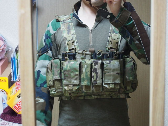 Aegis of the Mille-Feuille:装備紹介：Mayflower R&C UW Chest Rig Gen IV