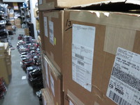 サファリランド商品ただいま入荷中です