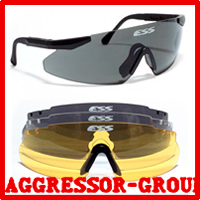 ESS V12 ADVANCER・ICE3.0