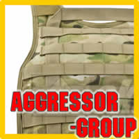 EAGLE RPC MC