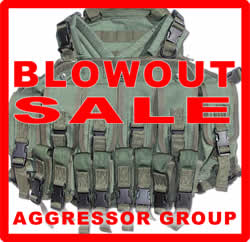 HSGI WARLORD SALE!!