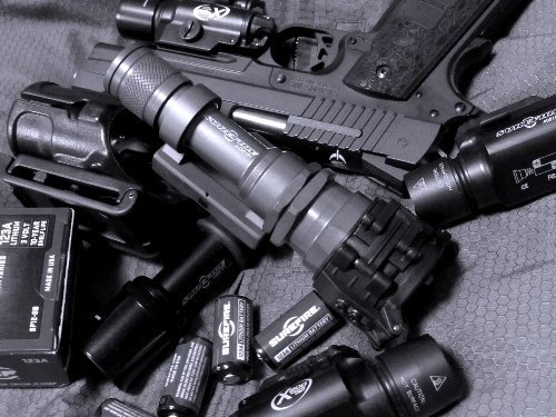 ドミノのヒマつぶし:SUREFIRE M952