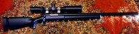 バトンさんcustom m24 その2