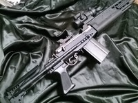 ＥＢＲ