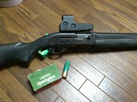 発狂したパチホロの行先