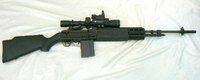 ビー○ライフル？M14カスタム