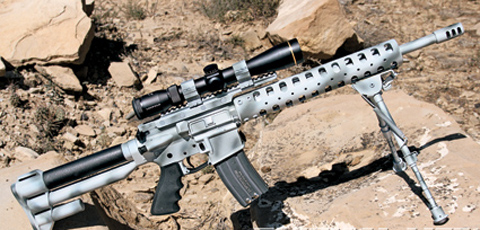 D&L Sports Perimeter Carbine 5.56mm