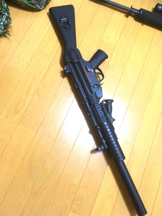 コクサイガスセミ MP5
