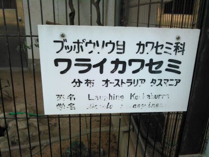 ナイトZOO