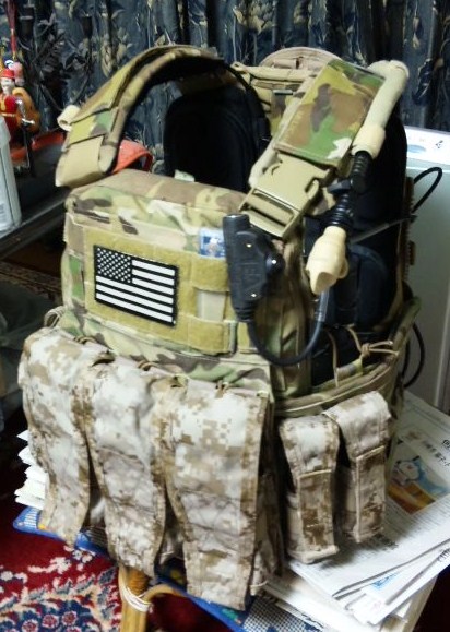 Crye CPC w/ AOR1 pouches