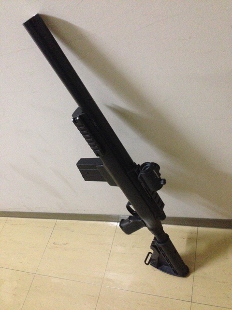 どうしてこうなった…
