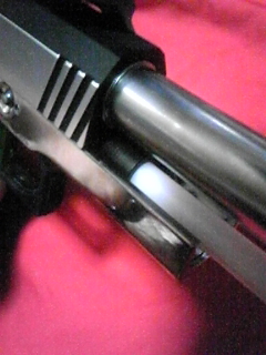 2009 STEEL GUN