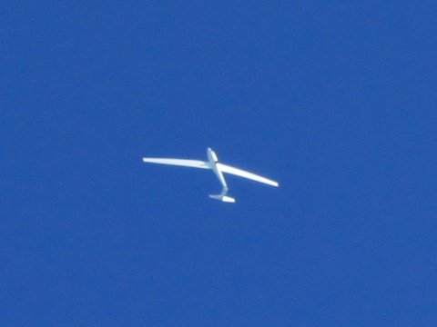 NZのグライダーのアクロ飛行。
